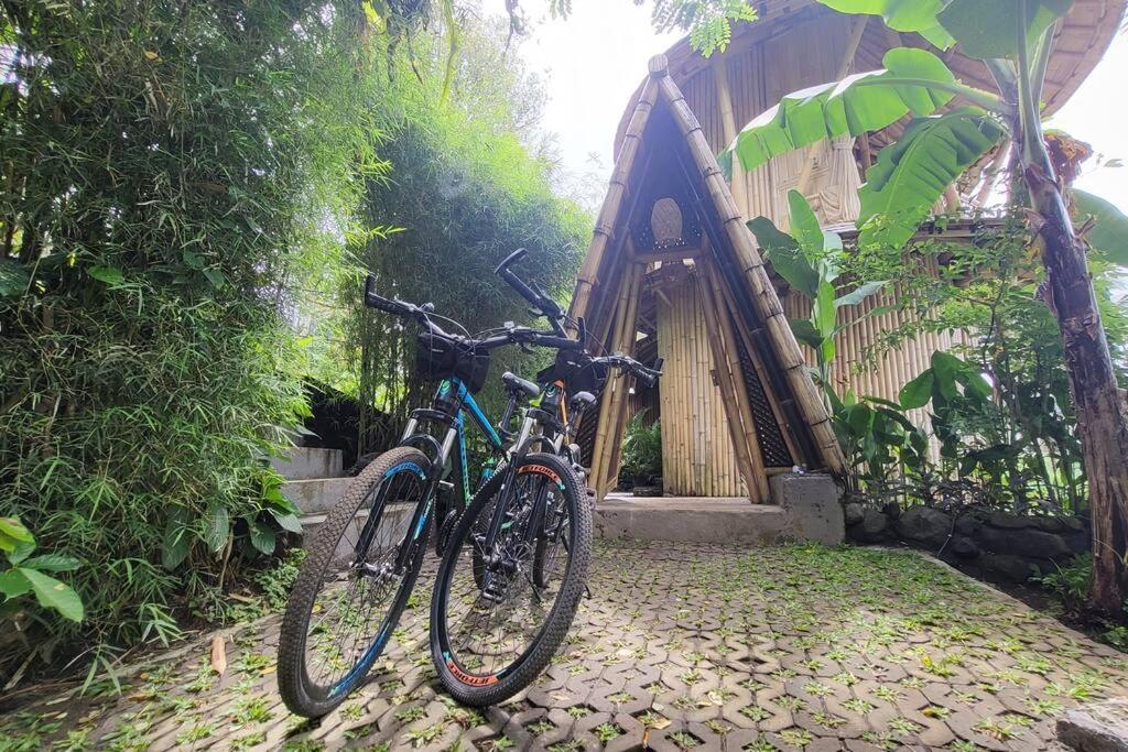The Nude House Vila Selat Exterior foto